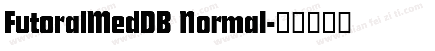 FutoralMedDB Normal字体转换